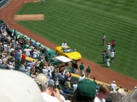 Eckersley in yellow Corvette.jpg